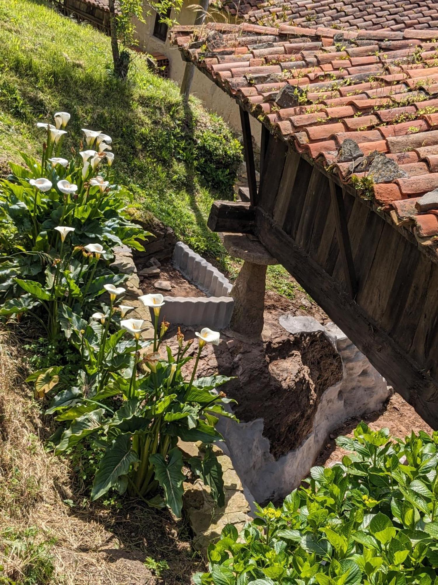 Las Casas De Isu Вальявисьоса Экстерьер фото